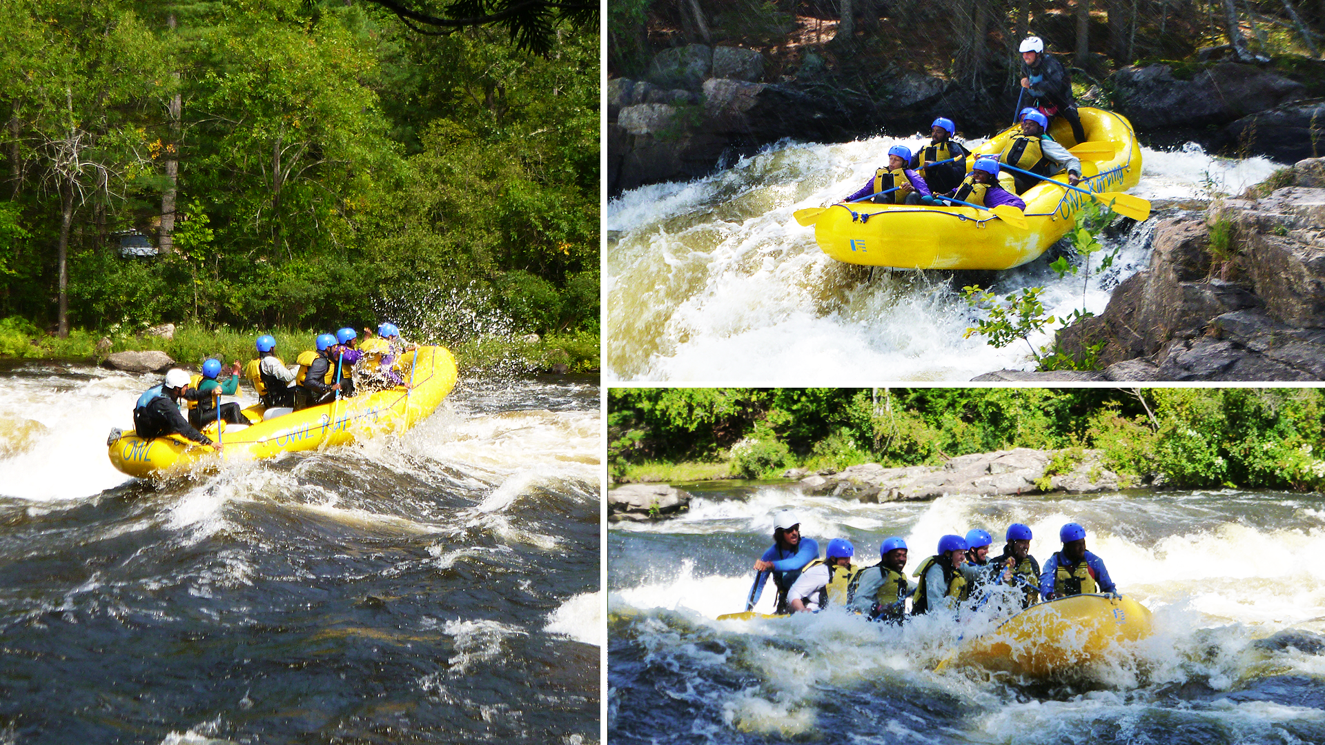 Ottawa's RealDecoy team went whitewater rafting last summer as a fun team building exercise!